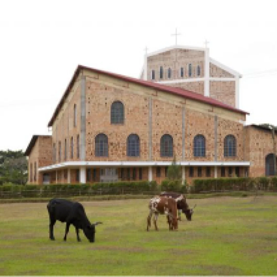 Kako-Cathedral